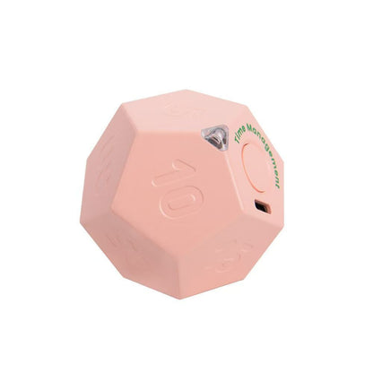 Mingxing Tec 12-Sided Timer