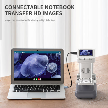 Shankala handhold microscope with screen