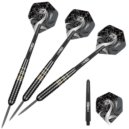 CyeeLife CyeeLife 21g Dart Set with Case and Black Grooved Shafts